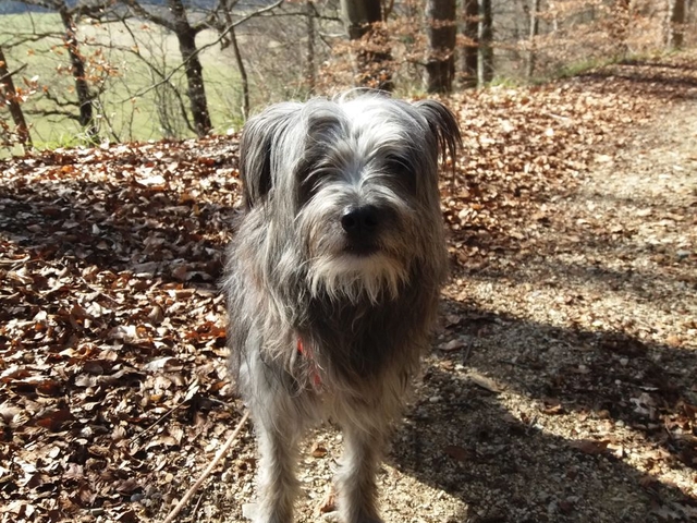 Im Frühjahr 2017 (1)